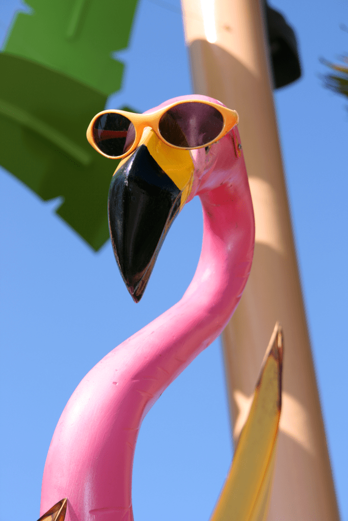 preppy core, preppy aesthetic, preppy accessories, trendy girls accessories, The Preppy Store, Amazon finds